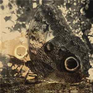 Louise Landes Levi - Ikiru Or The Wanderer Album