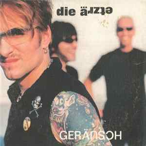 Die Äɹzʇǝ - Geräusch Album