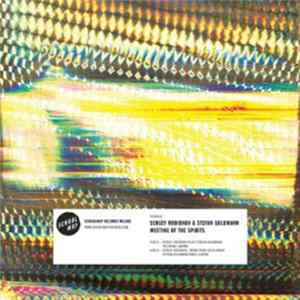 Sergey Rodionov & Stefan Goldmann - Meeting Of The Spirits Album