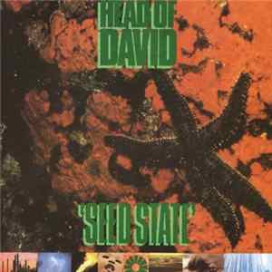 Head Of David - Seed State Album