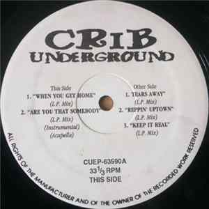 Various - When You Get Home / Are You That Somebody / Tears Away / Reppin Uptown / Keep It Real Album