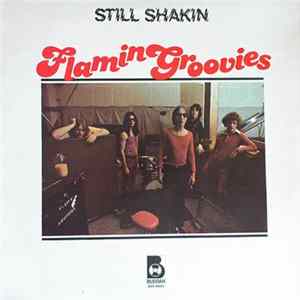 Flamin Groovies - Still Shakin Album