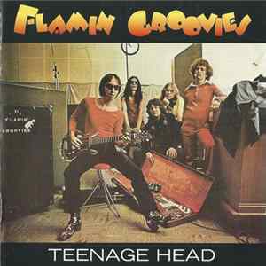 Flamin Groovies - Teenage Head Album