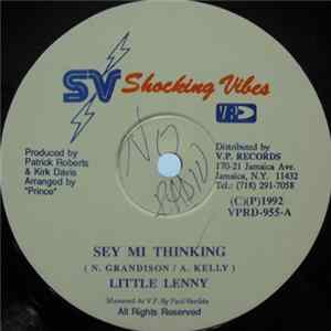 Little Lenny - Sey Mi Thinking Album