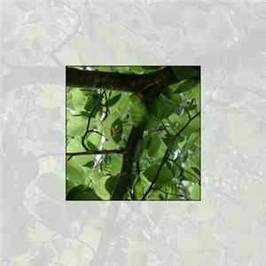 The Marx Trukker - Ease Of The Bough Album