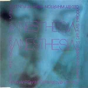 Dean Wareham - Anesthesia Album