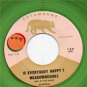 Meadowbrooks - Is Everybody Happy? Album
