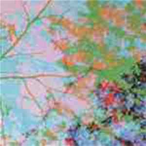 Tony Wilson - Horse's Dream Album
