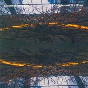 Viv Corringham & Rick Wilson - Glimpses Of Recognition Album