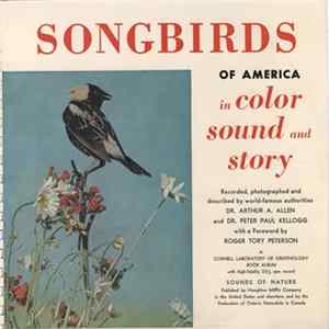 Dr. Arthur A. Allen & Dr. Peter P. Kellogg - Songbirds Of America Album