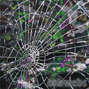 Endgame - Cobwebs Album