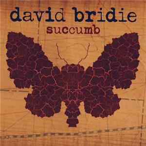 David Bridie - Succumb Album