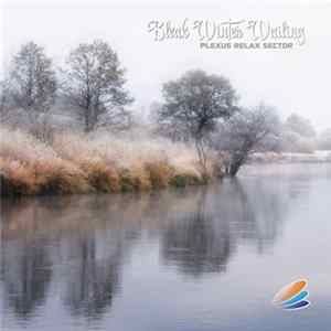 Various - Bleak Winter Wailing - Plexus Relax Sector Album