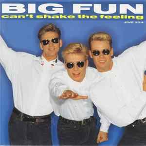 Big Fun - Can't Shake The Feeling Album