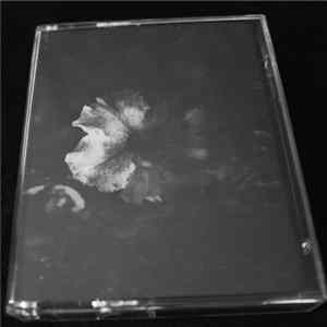 Introversion - Grau Album