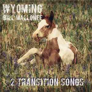 Bill Mallonee - Wyoming Album