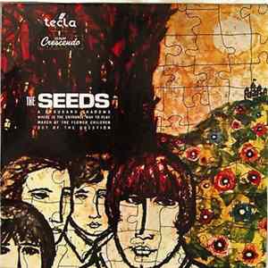 The Seeds - A Thousand Shadows Album