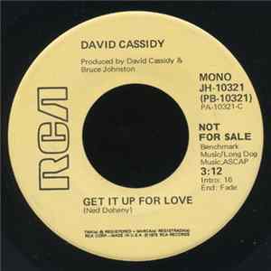 David Cassidy - Get It Up For Love Album