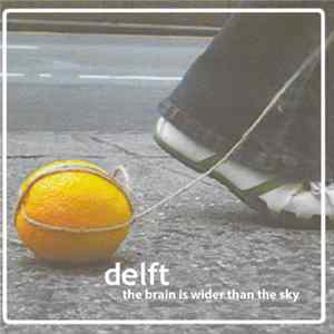 Delft - The Brain Is Wider Than The Sky Album