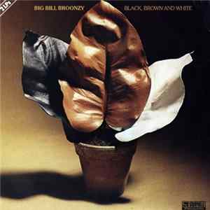 Big Bill Broonzy - Black, Brown And White Album