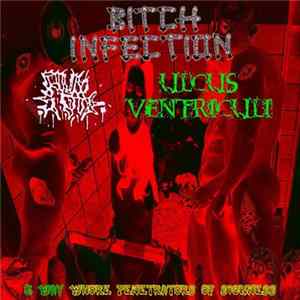 Bitch Infection, Cum Book, Ulcus Ventriculi - 3 Way Whore Penetrators Of Sickness Album
