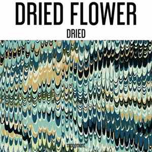 Dried Flower - Dried Album