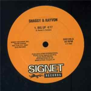 Screechy Dan / Shaggy & Rayvon - Big Up / Skin Out Album