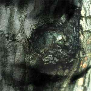 Yann Tiersen - The Waltz Of The Monsters Album