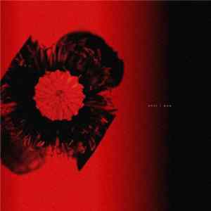 Ono - Still Album