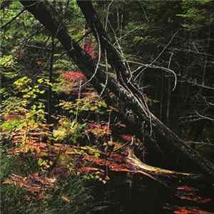 Crown Of Asteria / Dhampyr - Northwest​​ / ​​South Of No North Album