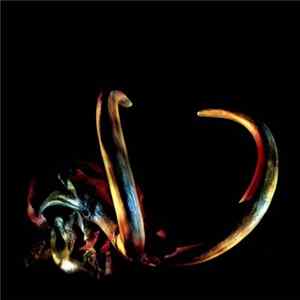 Mammut - Mammut Album