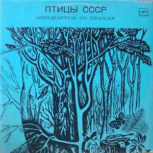 No Artist - Птицы СССР. Определитель по голосам. Воробьиные: овсянки. Album