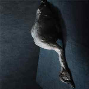 Amenra - Mass VI Album