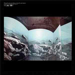 The Future Sound Of London - Environment 6.5 Album