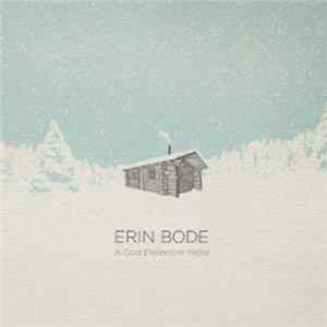 Erin Bode - A Cold December Night Album