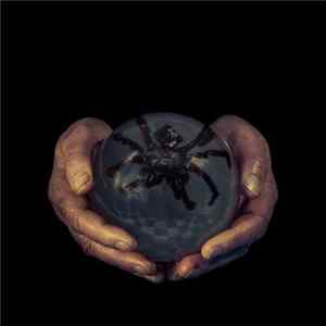 Buck Gooter - The Spider's Eyes Album