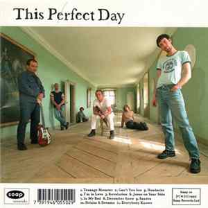 This Perfect Day - This Perfect Day Album
