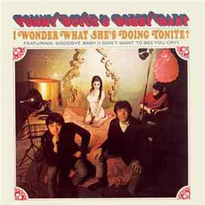 Tommy Boyce & Bobby Hart - I Wonder What She's Doing Tonite? Album