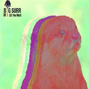 Big Surr - Miss You Most Album