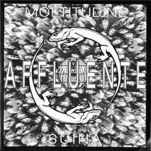 Affluente - Moltitudine Suina Album