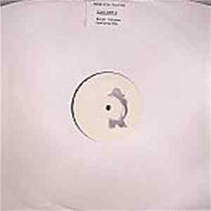 Various - DJs Lady 2 Album