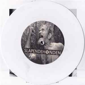 Saul Turteltaub / Slapendehonden - Saul Turteltaub / Slapendehonden Album