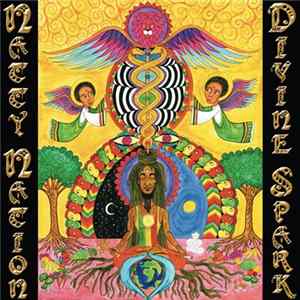 Natty Nation - Divine Spark Album